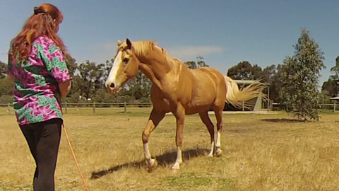 Begin Your Liberty: 5-Part Challenge - FREE