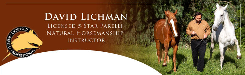 David Lichman 5-Star Parelli Professional