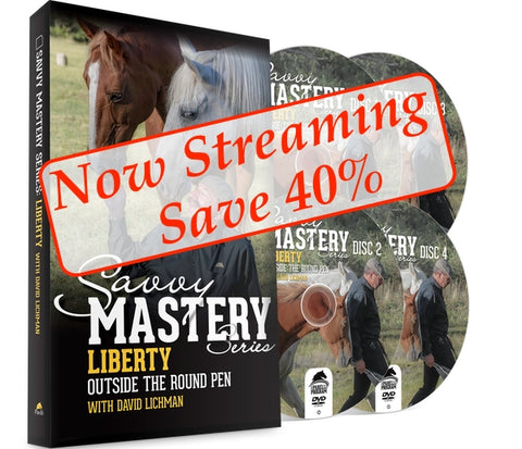 Liberty Outside the Round Pen - Streaming